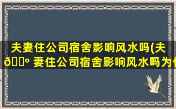 夫妻住公司宿舍影响风水吗(夫 🌺 妻住公司宿舍影响风水吗为什么)